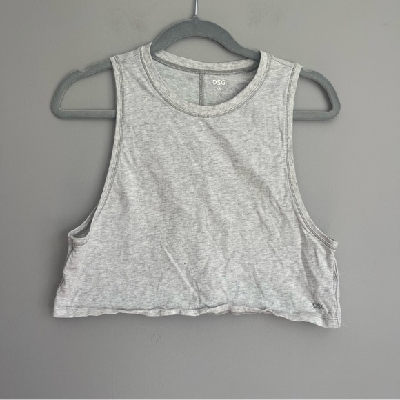 DSG Gray Crop Top - Picture 1 of 3